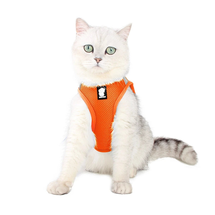 Cat Harness Leash Set Reflective Soft Mesh Polyester High Durable for Walking Training Hiking Adjustable Vest Cat Accessory