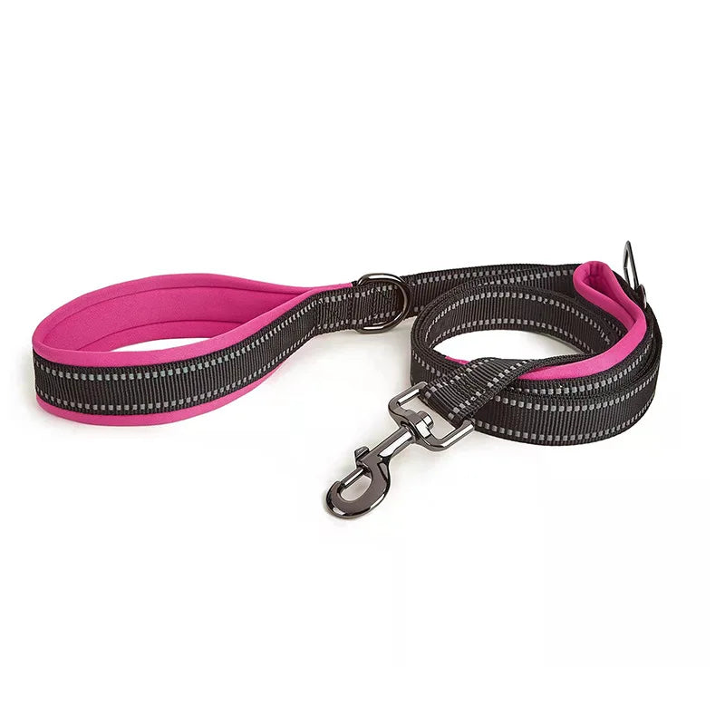 Hot Selling Waterproof Thickening Belt Car Buckle Dog Leash