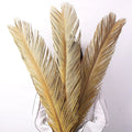 YOPIN 403 Natural Dried Flowers Preserved Sago Palm Leaves Iron Leaf Dried Sago Cycas