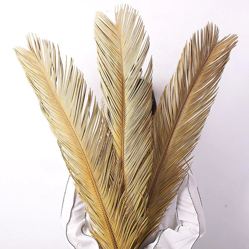 YOPIN 403 Natural Dried Flowers Preserved Sago Palm Leaves Iron Leaf Dried Sago Cycas
