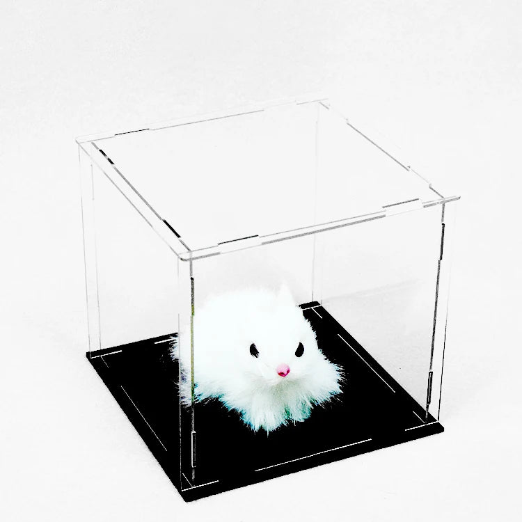 Customized Clear Acrylic Figurine Card Display Rack Dust Proof Toy Collection Display Box