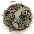 Premium Local Native Japanese Ardisia Herb Dried Ardisia Japonica Whole Plants for Sale