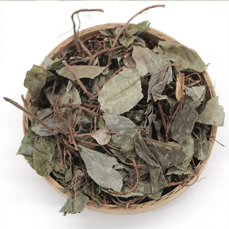 Premium Local Native Japanese Ardisia Herb Dried Ardisia Japonica Whole Plants for Sale
