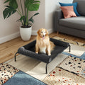 Large Luxury Pet Cot Elevated Cooling Feature Portable Skid-Resistant Feet Chew Proof Mesh Frame for Outdoor Use Cats Winter
