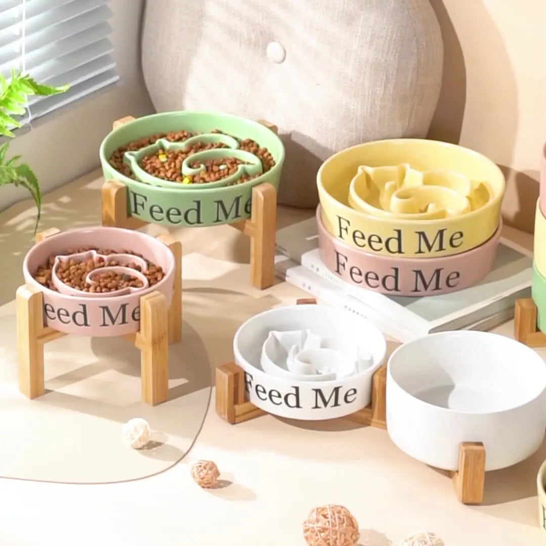 Ceramic Slow Food Pet Double Bowl Holder | Dog Water & Food Bowls for Healthy Eating