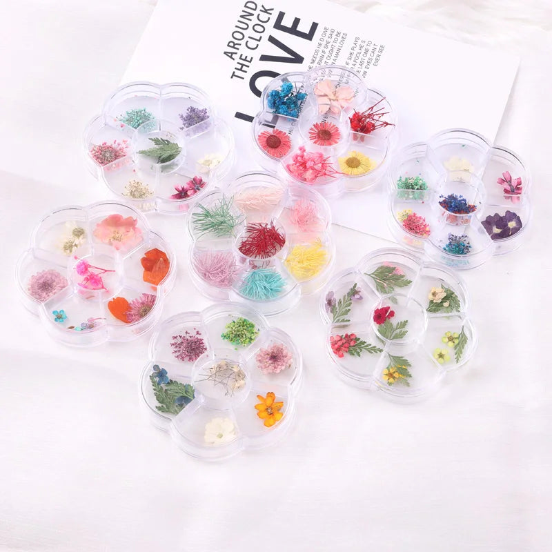 TSZS New 6 Grid Boxed Japanese Sunflower Summer Dried Flower Nail Decorations Mixed Dry Flower DIY Nail Art Decals