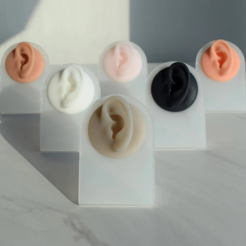 Body Part Silicone Model With Display Stand Use for Tattoo Puncture Practice Body Piercing Jewelry Display Tool
