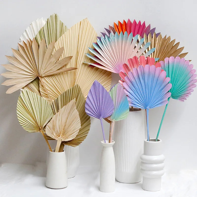D73 Custom Home Office Wall Decor Boho Dried Palm Leaves Palm Leaf with Stem Small Dried Palms Plant Spears Fans