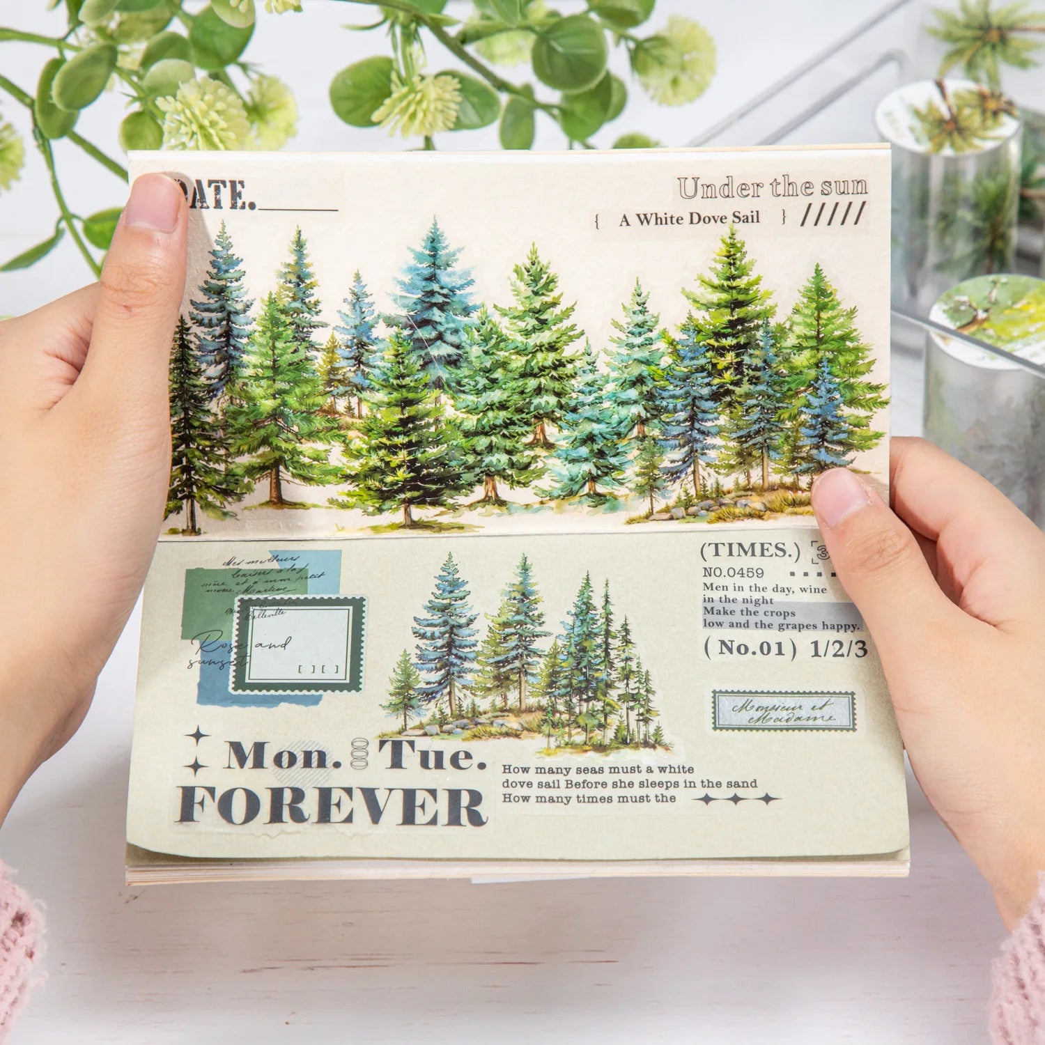 2m/Roll Tape Woods Painting Dreams Series Watercolor Trees Handbook Materials Decorative Collage