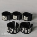 001-100 Numbered 8MM Plastic Bird Leg Bands Hen Pigeon Foot Rings  Chicks Parrot Clip Rings for Fancier Parrot