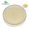 NON-GMO Additives Best Price Isolated Powder Isolates Food Grade Halal Instant Soy Protein Isolate