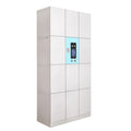 Cheap Price Knock Down-Structure ABS Plastic Wardrobe Cabinet in Grey for School/Dormitory/Office Use Gym and Clothes Locker