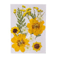 12 PCS DIY Combination Kits Dried Pressed Flower Materials for Christmas for Bookmarks Phone Cases Epoxy Face Makeup