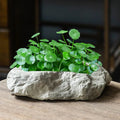 Creative Styles Home Decorative Table Ceramic Stone Shape Micro-Landscape Succulents Bonsai Planter Flower Pots for Garden Deco