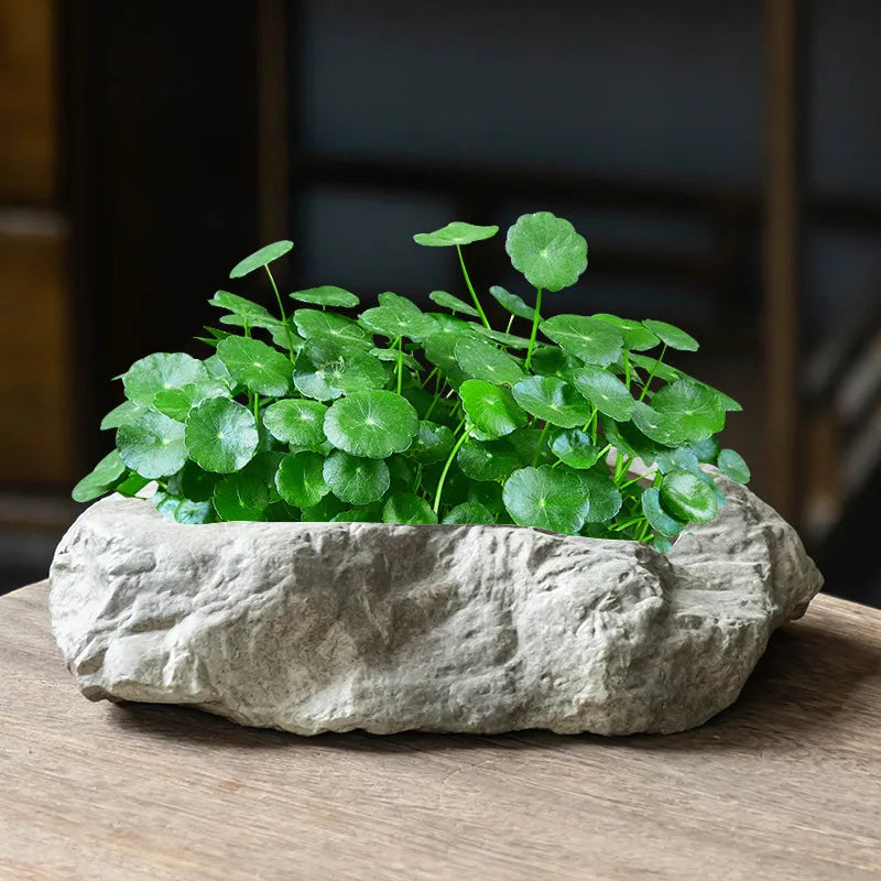 Creative Styles Home Decorative Table Ceramic Stone Shape Micro-Landscape Succulents Bonsai Planter Flower Pots for Garden Deco
