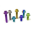 2 Pcs M10 X 25mm 1.25/1.5 Pitch Titanium Ti Screw Bolt Thread Screw Motorcycle Bolts for Bike Brake Cycling Bolt