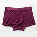 Good Price Breathable Modal Comfortable Solid Color Ice Silk Underwear Men Oem Silk Panties for Men