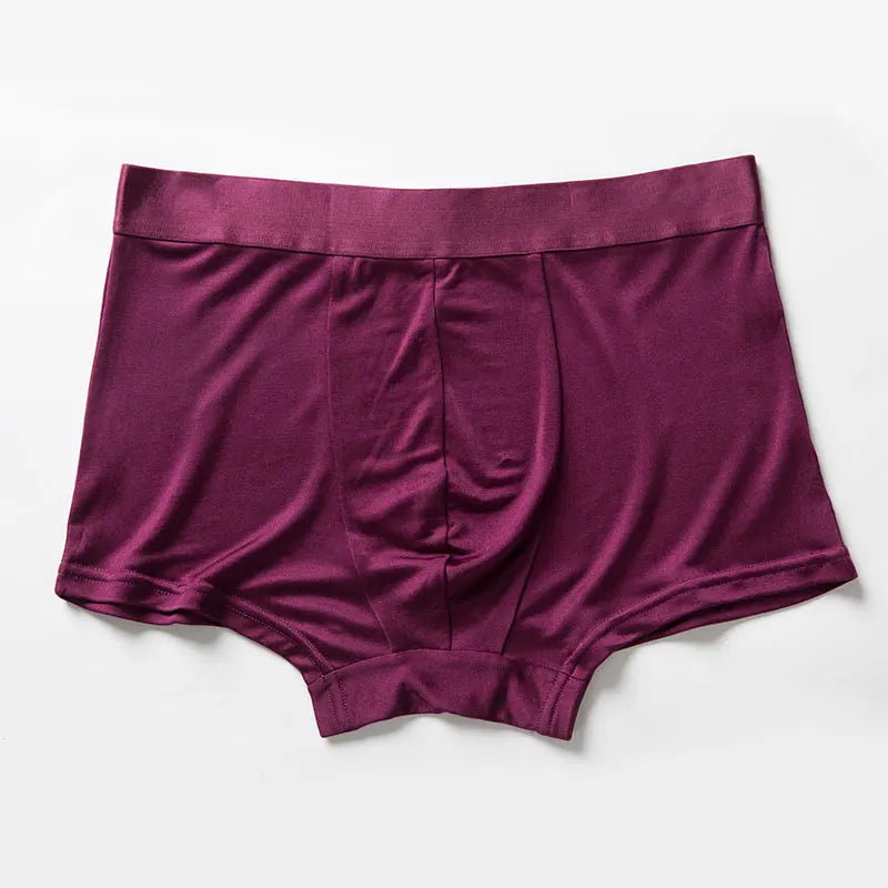 Good Price Breathable Modal Comfortable Solid Color Ice Silk Underwear Men Oem Silk Panties for Men