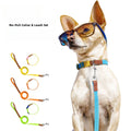 No Pull Collar and Leash Set for Small to Medium Dogs Multiple Color Options Easy Control Dog Leash in Fashion Style for Walking