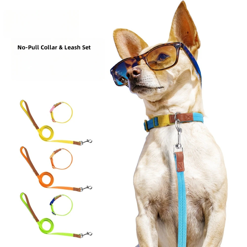 No Pull Collar and Leash Set for Small to Medium Dogs Multiple Color Options Easy Control Dog Leash in Fashion Style for Walking