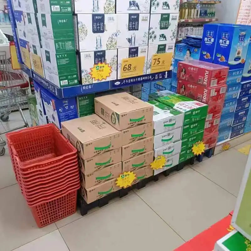 Low Price Double-Sided Plastic Pallet New Design for Supermarket Warehouse Light Duty Moisture-Proof Slat