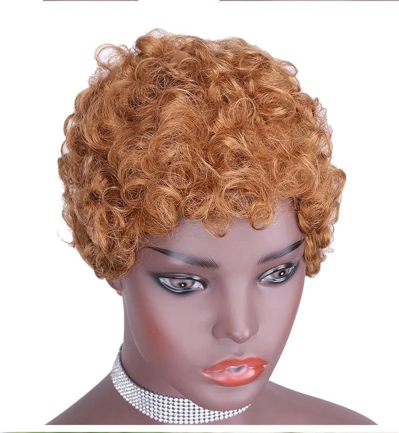 Human Hair Wigs Afro Curly Human Hair Wig for Black HC06 Best Selling Wholesale Brazilian Women Virgin Pixie Cut 3" Short 3pcs
