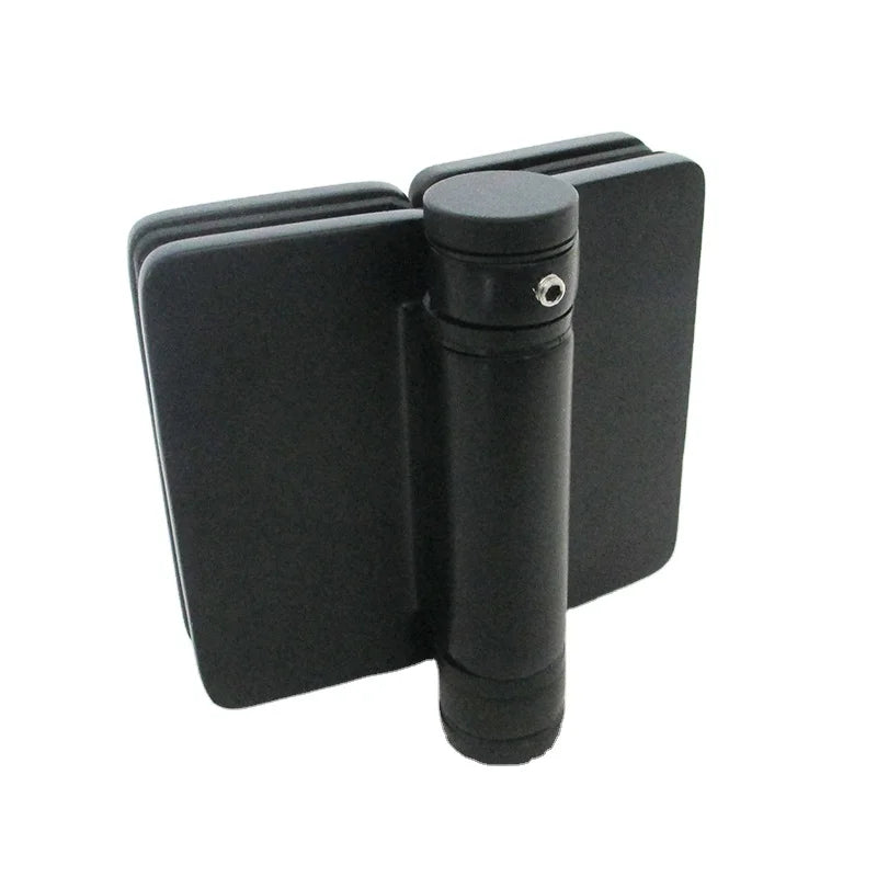 Heavy Duty Matt Black Stainless Steel 316 Glass Door Hinge Door Hinges for Swimming Pool Fence