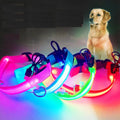 Wholesale Nylon LED Dog Collar USB Rechargeable Luminous Flashing Light in Dark Classic Style Durable Print for Pets-Cats Dogs