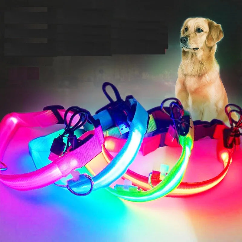Wholesale Nylon LED Dog Collar USB Rechargeable Luminous Flashing Light in Dark Classic Style Durable Print for Pets-Cats Dogs