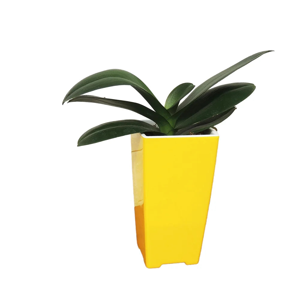 Hot Selling Colorful ABS & PP Flower Pot-Lightweight Durable Home Garden & Desktop Gift for Lovers