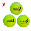 Regail Professional Training of Wool Tennis Ball Environmental Good Elastic Tennis Ball Packaging Color Custom Bounce Tennis