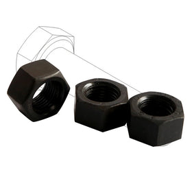 Wholesale Sus304 Carbon Steel Din934 Hex Nut for Water Treatment