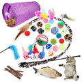 2022 Amazon-Hot-Sale Interactive Feather Cat Toy Eco-Friendly Plastic Fish Nip Tunnel for Cats