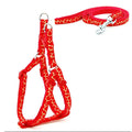 Pet Supplies Fashion Portable Wholesale Custom Dog Collar and Leash Set