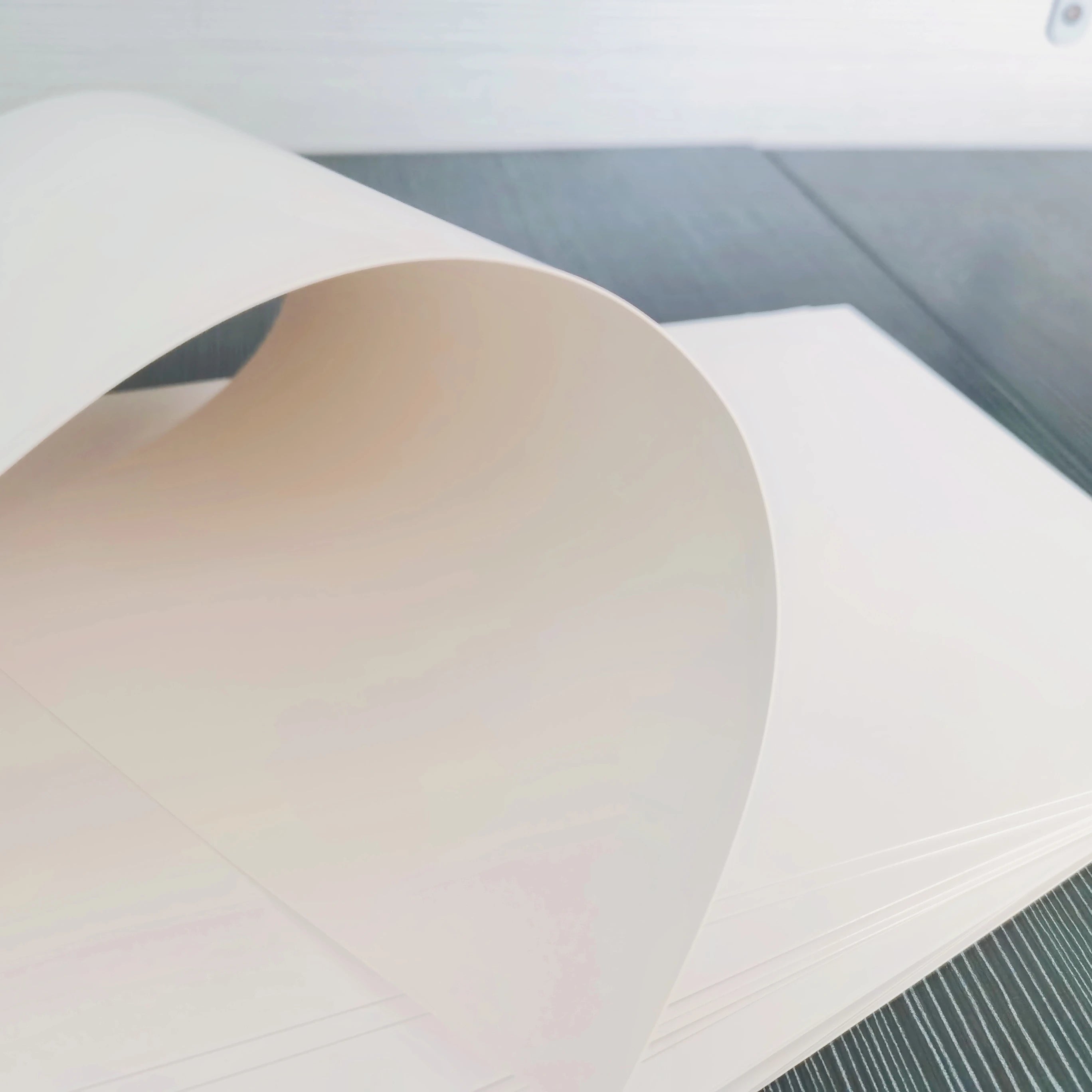 Free Sample 170-400 GSM Coated Single Side Anti-Curl Duplex Board White Ivory FBB Folding Box Paperboard Custom Logo High