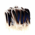 Wholesale Elegant Natural Duck Feathers 10-15 cm 4-6 Inch Dark Gorgeous for Crafts Handicraft Material Quick Shipping