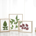 8" Wholesale Creative Two-sided Glass Herbarium Specimen Frame Dried Flowers Hand-painted Solid Wood Photo Frame