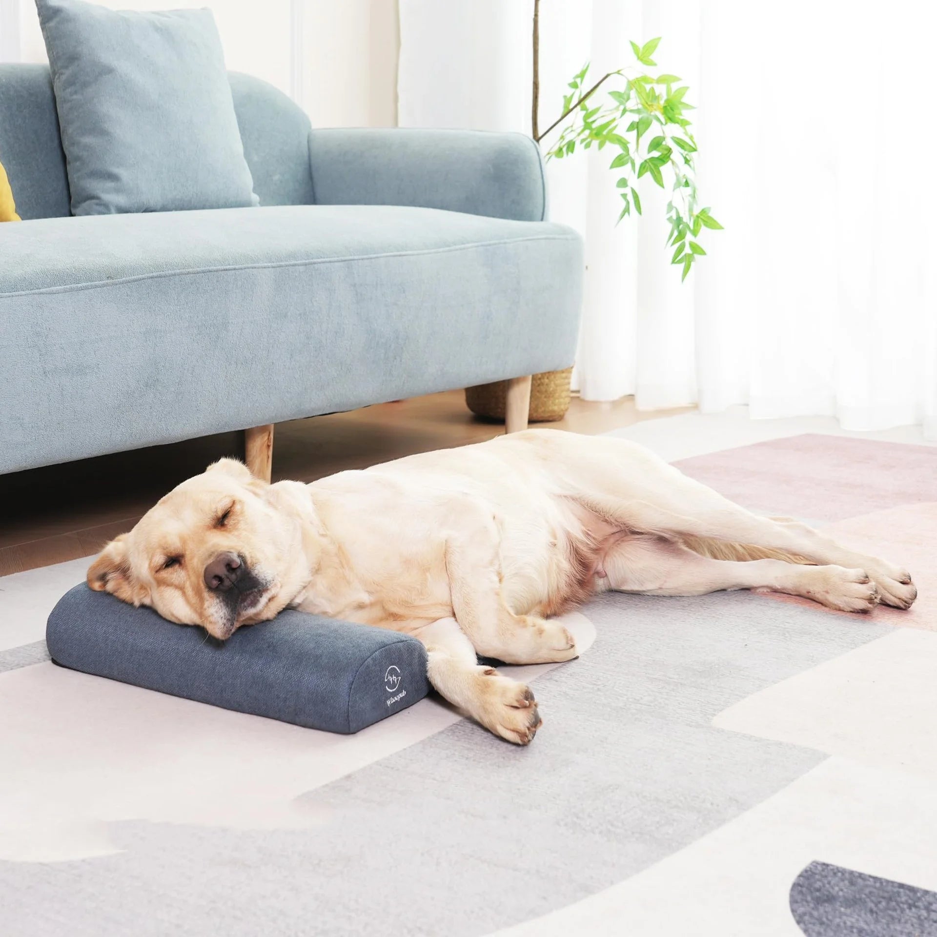Custom Small Medium Large Dog Neck Pillow High Rebound Foam Machine Washable Deep Sleep Pet Dog Pillow