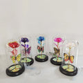 C-G0001Factory Wholesale Mother's Day Led Light Artificial Flowers Black Wooden Base 24k Gold Galaxy Rose in Glass Dome