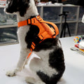 Fashion Pet Harness Leashes Set Reflective Adjustable Cat Harness Luxury No Pull Dog Harness With Handle