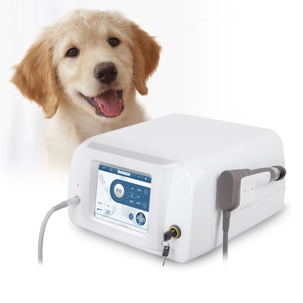 High-Energy 6 Bar Portable Veterinary Shockwave Therapy Machine for Horses