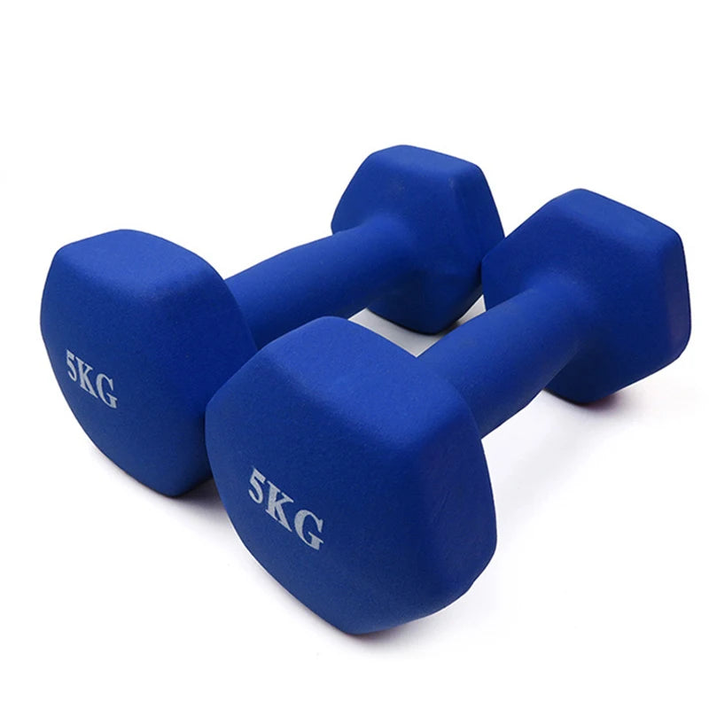 High Quality Women's Gym Fitness Dip Dumbbell Set Iron Hexagon Dumbbells Manufacturer Promotion Quality Guarantee Training Sale