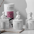 Customized 12 oz Vintage Plaster Cast Handmade Soy Wax Premium Ambiance Fragrance Aromatherapy Scented Candles Home Decoration