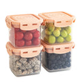 Manufacturer's Direct Sales Portable Fruit Preservation Box Kitchen Refrigerator Storage Container