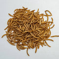 Premium Selected Microwave-Dried Yellow Mealworm Pet Snacks