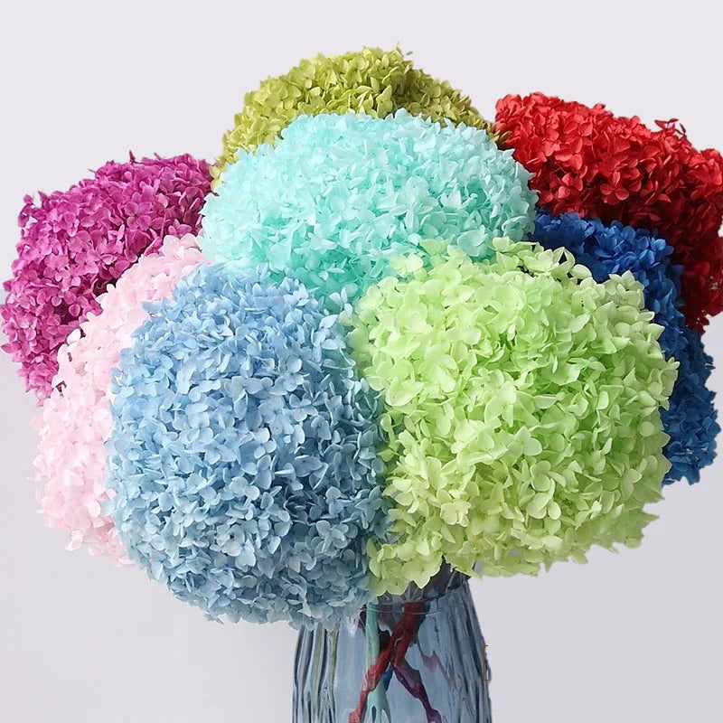 Wholesale Pink White Real Single Dried Anna Preserved Hydrangea Forever Flowers Artificial Wedding for Arrangement Decoration
