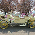 European Style Electric Steel Horse-drawn Sightseeing Wedding Carriage for 4-6 Persons