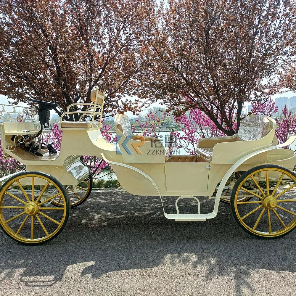 European Style Electric Steel Horse-drawn Sightseeing Wedding Carriage for 4-6 Persons