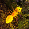 Momovalley Nature Themed  Ant Animal Shape LED Lamp Perfect for Kids Educational and Fun Room Garden Amusement Decor