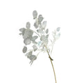 M240 Silver Dollar Plant Seeds Lunaria Artificial Silk Flowers Competitive Advantage Floral Stem Wildflower Honesty Plant